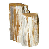 Load image into Gallery viewer, Feller Stone Petrified Wood